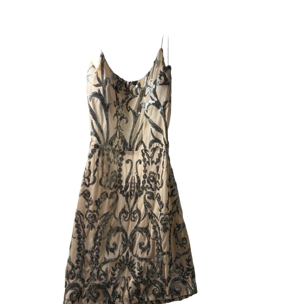 Beaded Nude and Silver Mini Dress